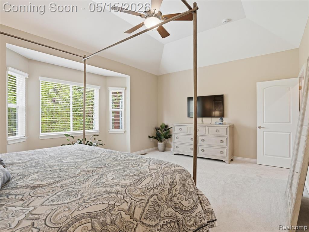 23656 Millwood, South Lyon, MI 48178 — Photo 29