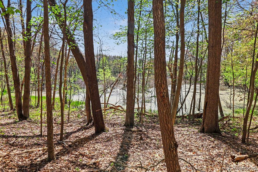 Parcel #3 Milford Rd, Holly, MI 48442 — Photo 12