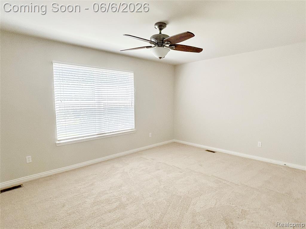 30790 Division Street, New Haven, MI 48048 — Photo 15