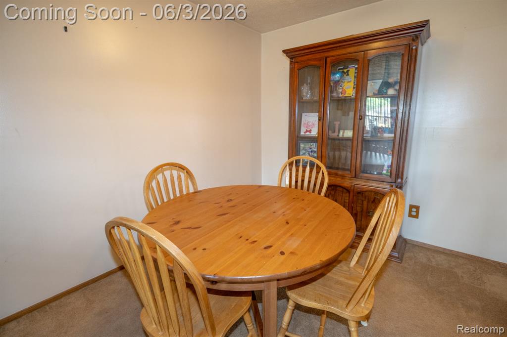 61200 Greenwood Drive, South Lyon, MI 48178 — Photo 9