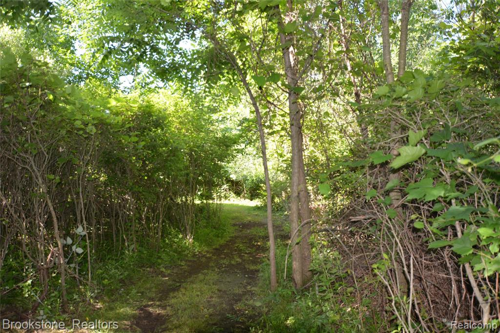 12152 Hoisington Road N, Gaines Vlg, MI 48436 — Photo 57