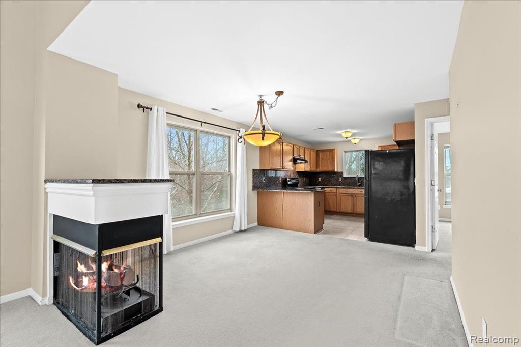 1039 FOUNTAIN VIEW Circle, South Lyon, MI 48178 — Photo 7
