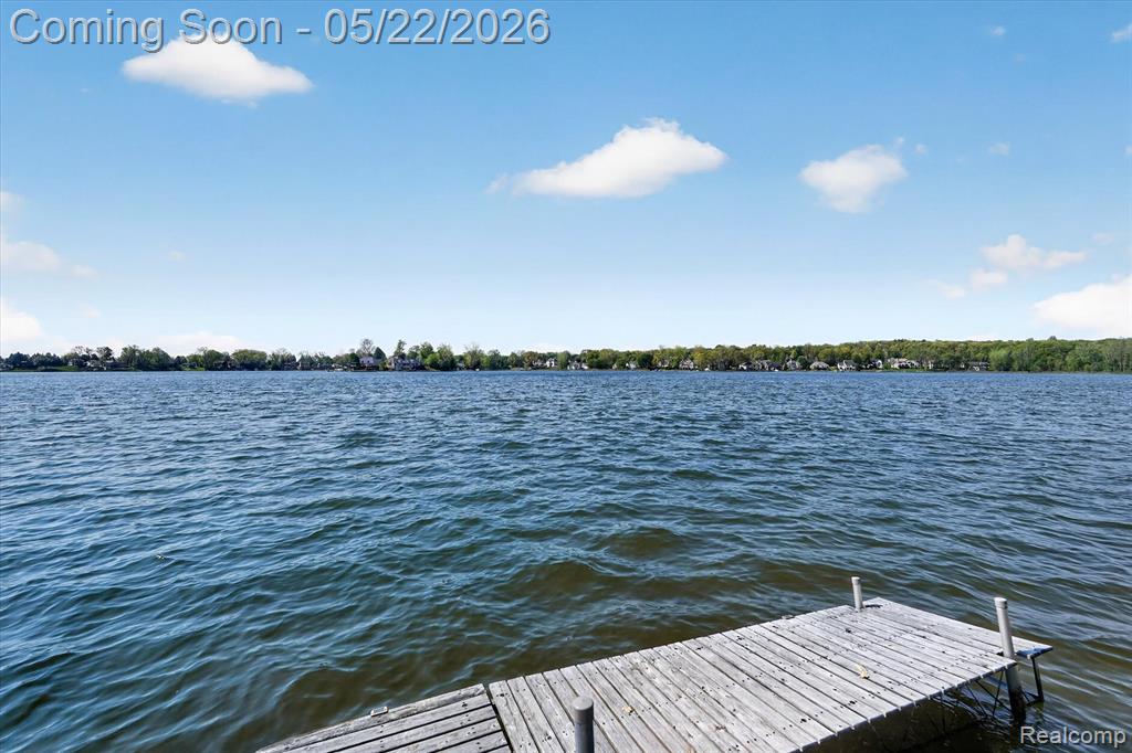 5025 Harp Drive, Linden, MI 48451 — Photo 48