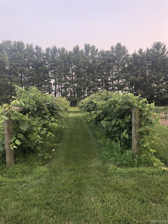 6523 JONES Road, North Branch, MI 48461 — Photo 62