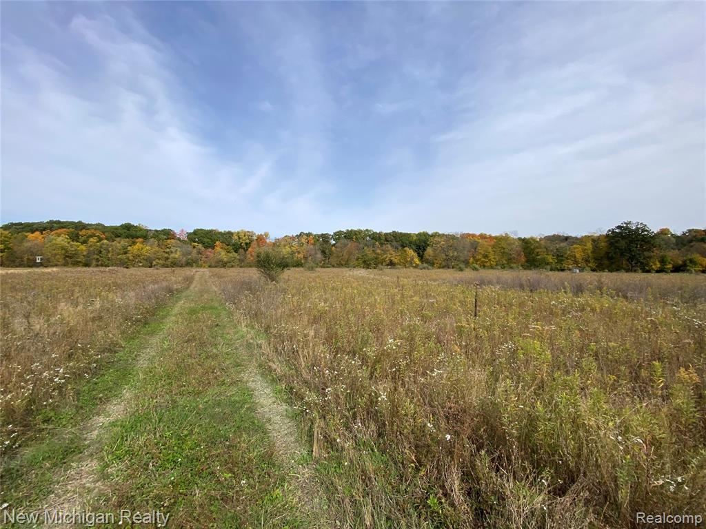 9392 Dodge Road, Montrose, MI 48457