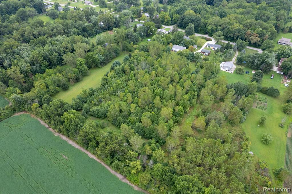 10784 Exeter Road, Carleton, MI 48117 — Photo 62