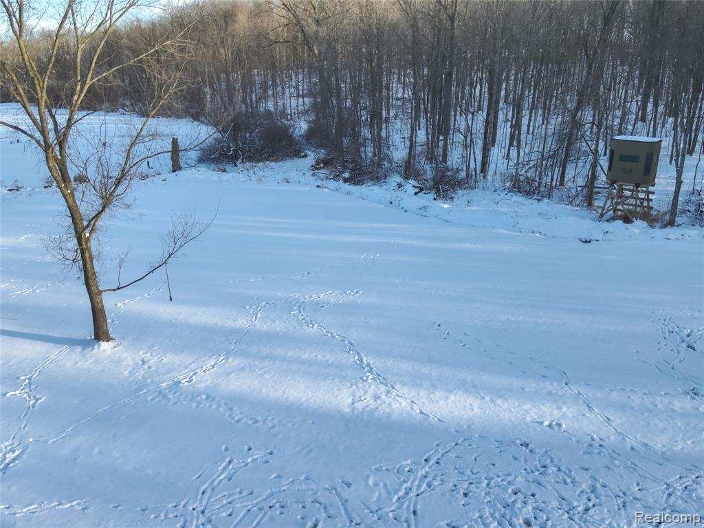 v/l W Us-12 Highway, Manchester, MI 48158 — Photo 10