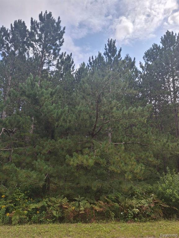 Land 99 Breezewood Drive, Mancelona, MI 49659 — Photo 8