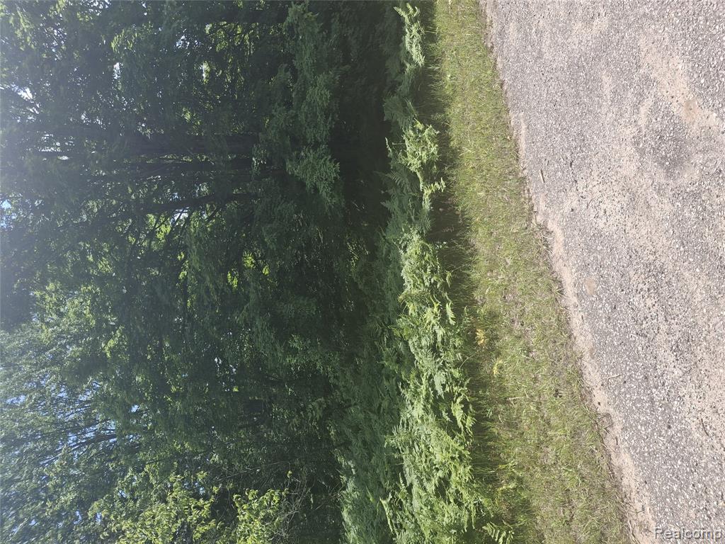 Wilamont Circle Lot 143, Mancelona, MI 49659 — Photo 6
