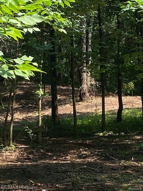 3 Sleaford-Parcel 3-3.17 Acres Road, Howell, MI 48843 — Photo 43