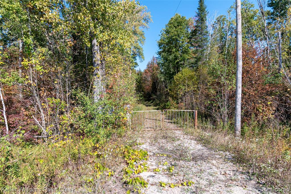 905 E M 61 Highway, Gladwin, MI 48624 — Photo 2