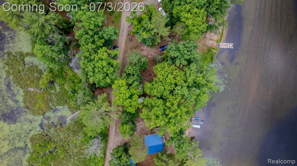 8272 Paradise Drive, South Branch, MI 48761 — Photo 33