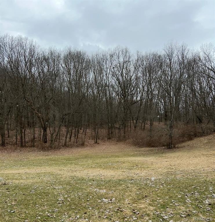 6065 Victoria Drive, Fenton, MI 48430 — Photo 6
