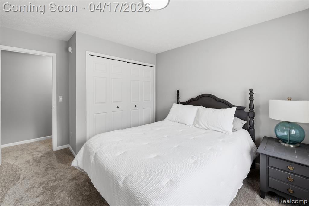 385 Tortoise Drive, Howell, MI 48843 — Photo 22