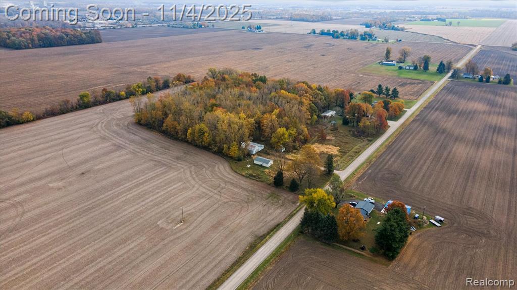 9200 Platt Road, Dundee, MI — Photo 20