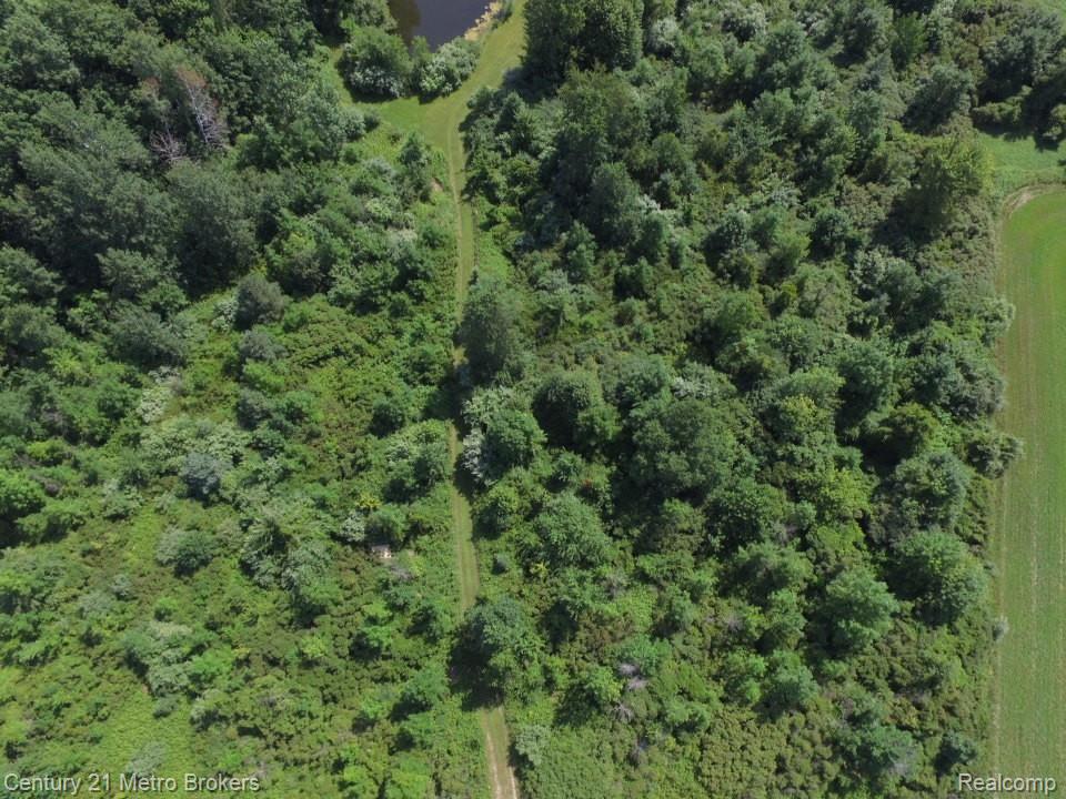 10190 Oak Road, Otisville, MI 48463 — Photo 44