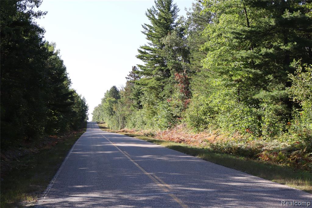Lot D W Pendills Lake Road, Brimley, MI 49715 — Photo 55