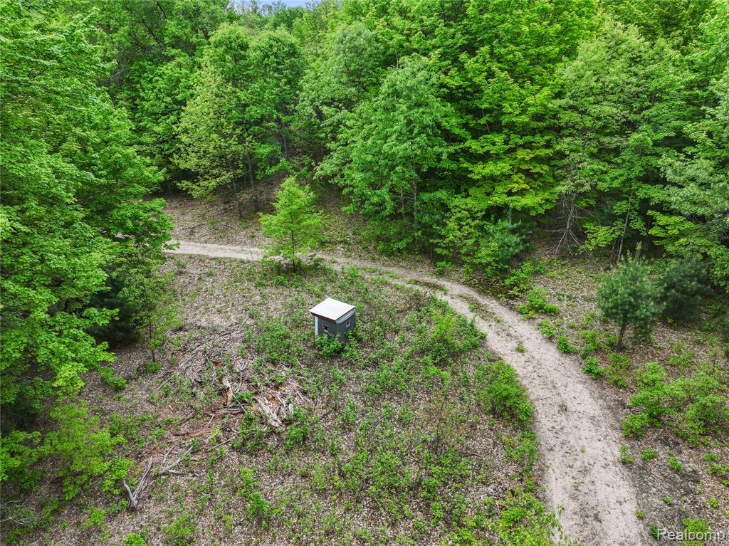 8875 N Lakola Road, Tustin, MI 49688 — Photo 11