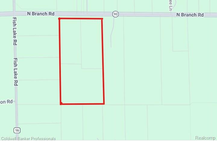 VL N Branch Road, North Branch, MI 48461 — Photo 2