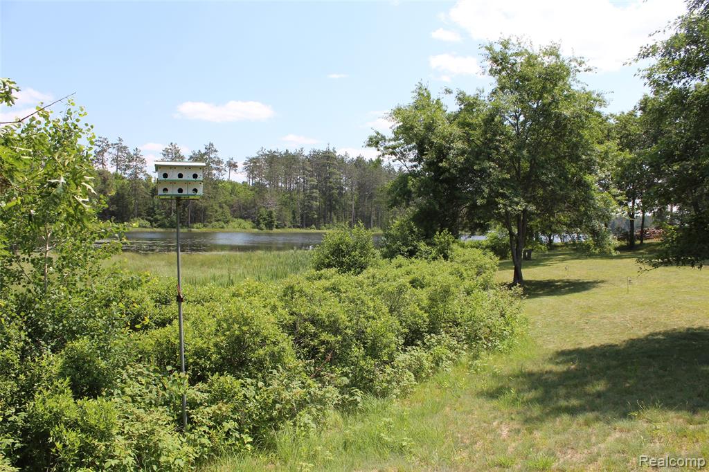 3403 Eggleston Road, Mio, MI 48647 — Photo 6