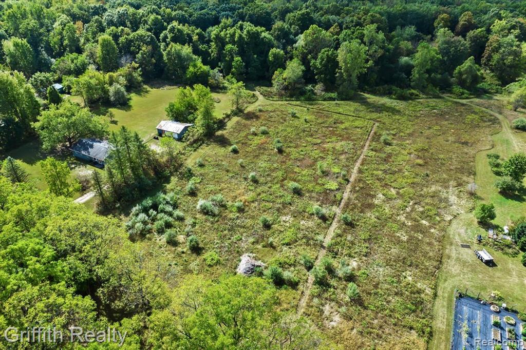 9800 Beeman Road, Chelsea, MI 48118 — Photo 8