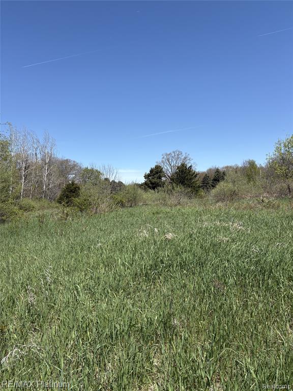 Parcel 1 Edgemont Drive, Howell, MI 48855 — Photo 15