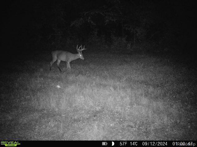 V/L BLAKE Road, Jackson, MI 49201 — Photo 91
