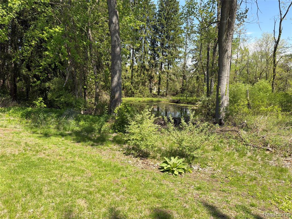 6772 Wells Road, Petersburg, MI 49270 — Photo 4