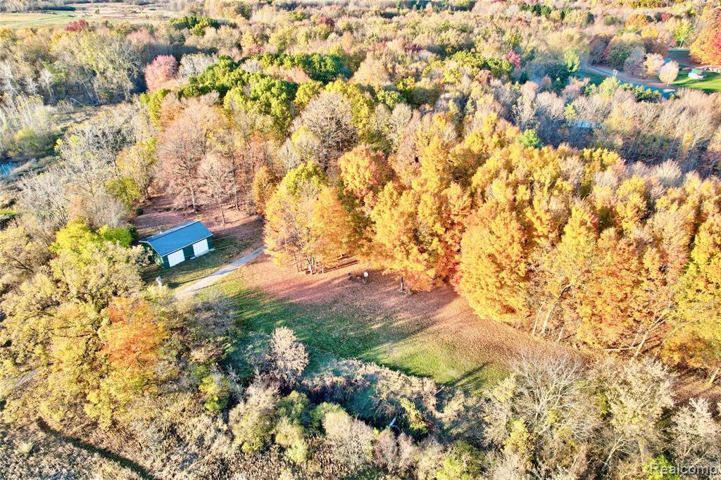 11154 Gale Road, Otisville, MI 48463 — Photo 62
