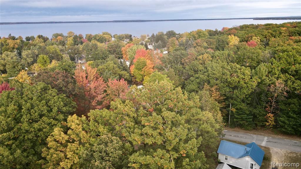 126 Lasalle Avenue, Houghton Lake, MI 48629 — Photo 24