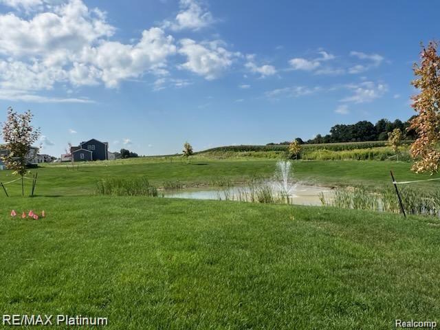 13059 River Rock Pass, Linden, MI 48451 — Photo 13