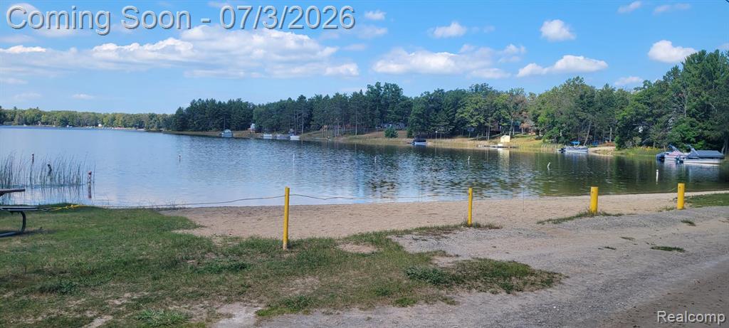 8272 Paradise Drive, South Branch, MI 48761 — Photo 57