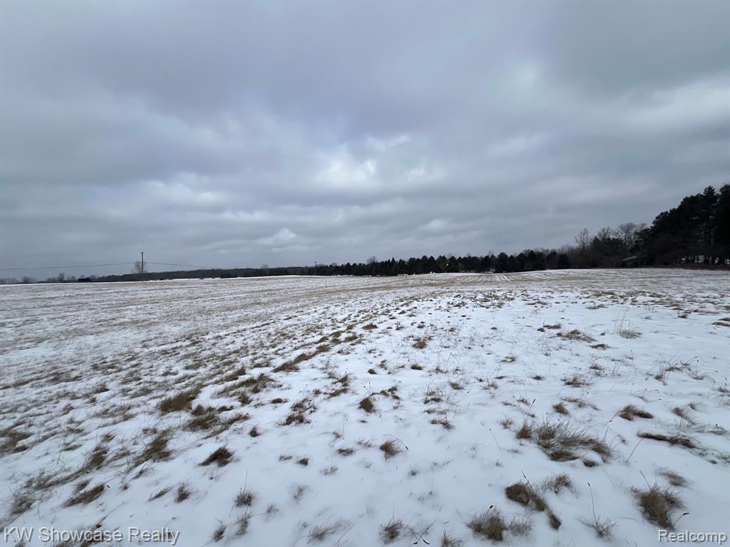 4761 E FIVE MILE Road, Ann Arbor, MI 48105 — Photo 8