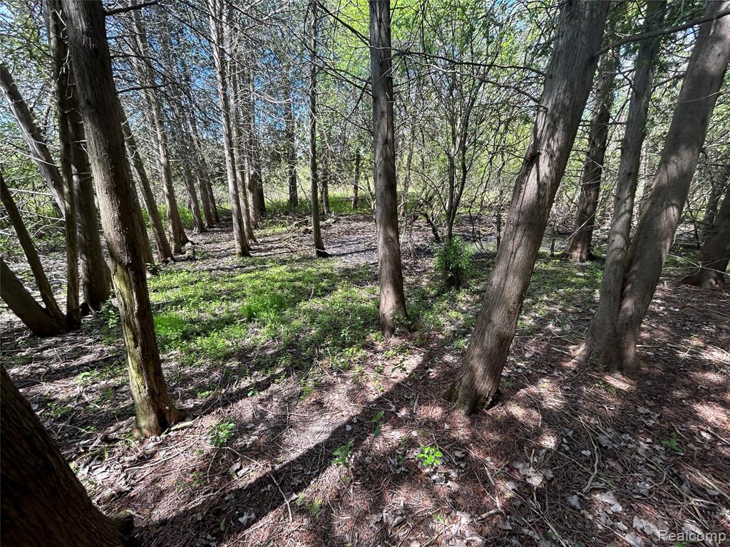 2356 S DYE Road, Flint, MI 48532 — Photo 4