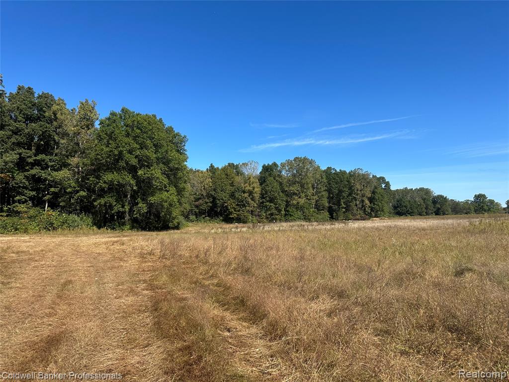 14235 WANTY Road, Milan, MI 48160 — Photo 12