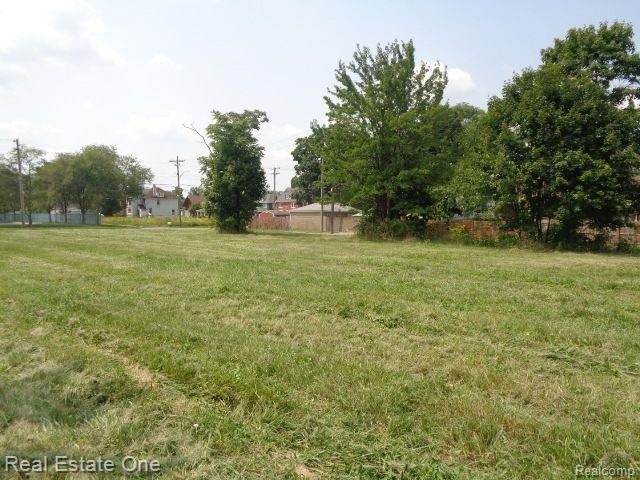 227 BELMONT Street - Photo 5