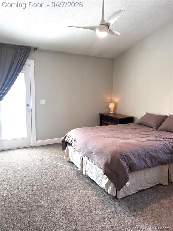 4740 S Francis Road, St. Johns, MI 48879 — Photo 14