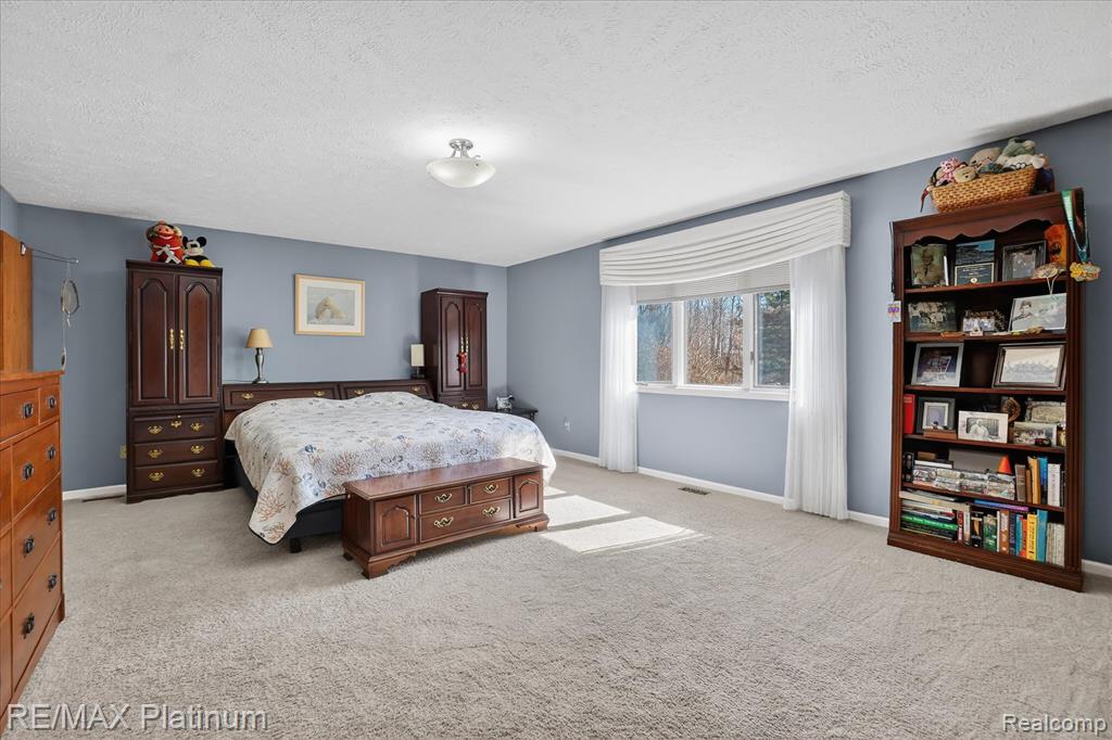 3725 W Howell Road, Mason, MI 48854 — Photo 28