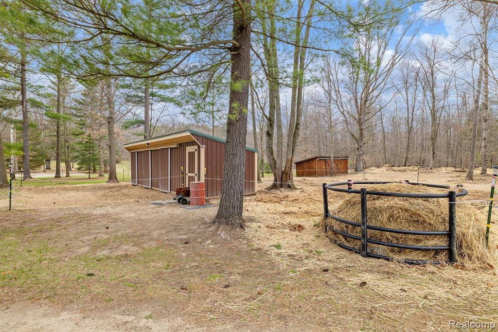 4824 Little Cedar Creek Drive, Attica, MI 48412 — Photo 8