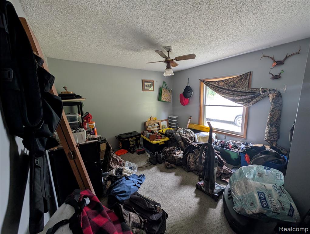 11175 S Morrice Road, Morrice, MI 48857 — Photo 18
