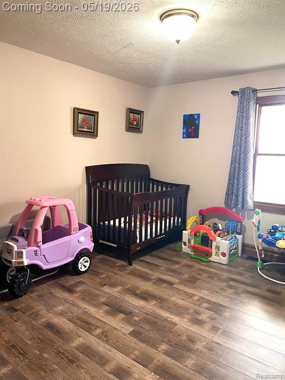 775 Beard Road E, Perry, MI 48872 — Photo 17
