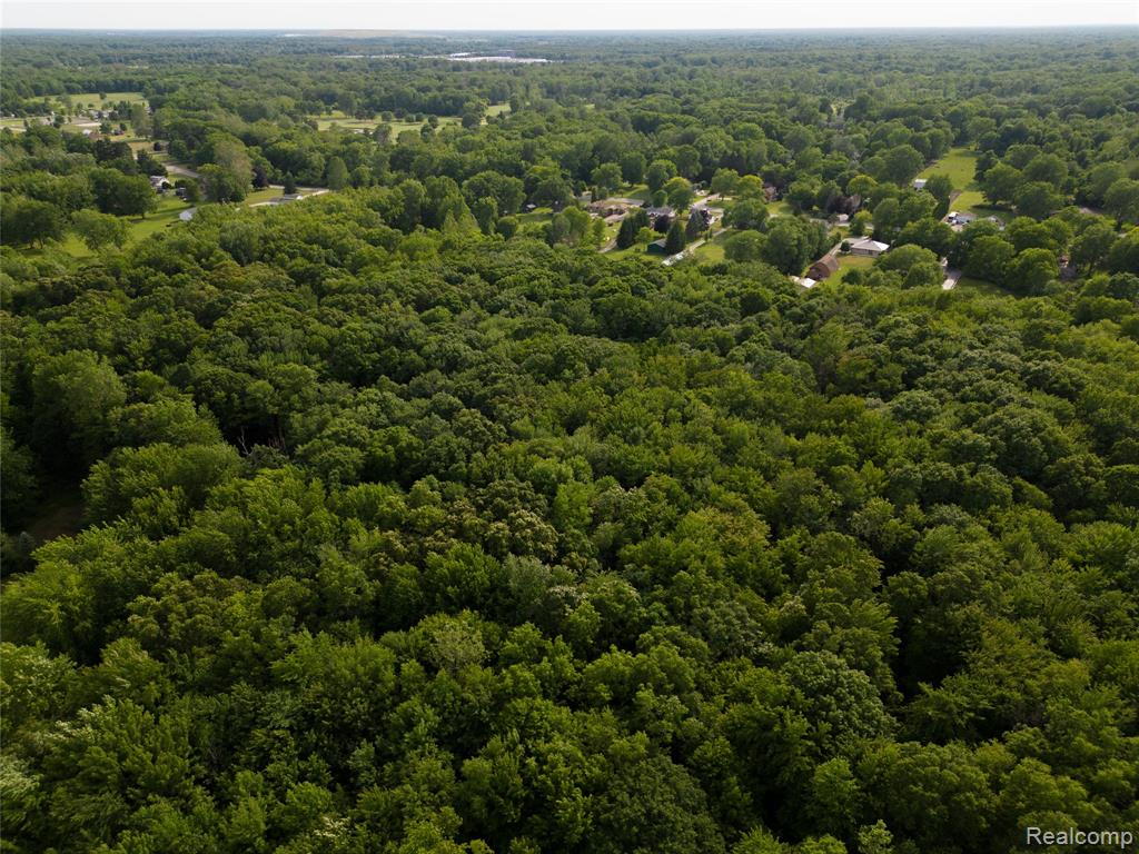 21515 Huron River Drive, New Boston, MI 48164 — Photo 61