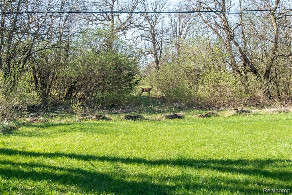 985 FERNHILL Street, Highland Park, MI 48203 — Photo 17