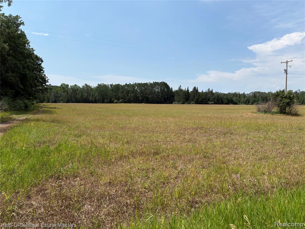 9999 W. Hubert rd Road, Hubbard Lake, MI 49747 — Photo 5