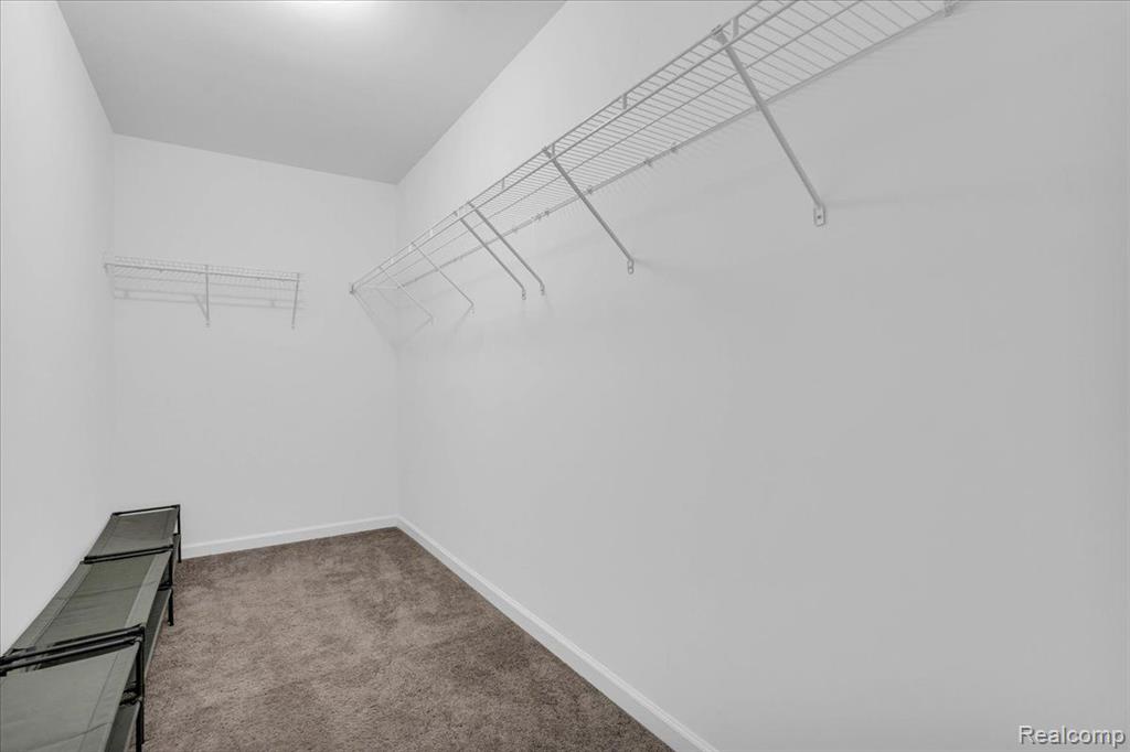 9556 NATURE VIEW Lane, Ypsilanti, MI 48197 — Photo 23