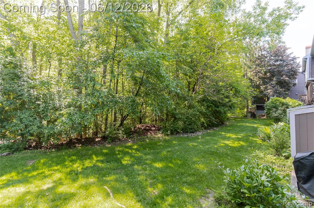 234 Lyn Anne Court, Ann Arbor, MI 48103 — Photo 29