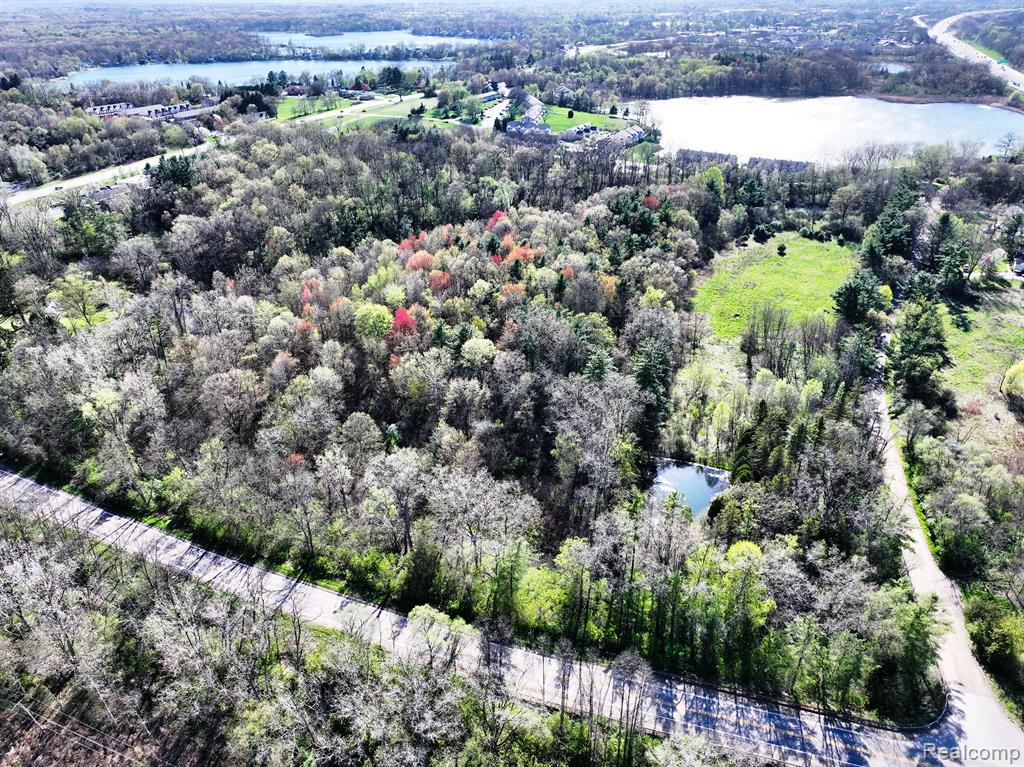 5920 PLEASANT VALLEY Road, Brighton, MI 48116 — Photo 38