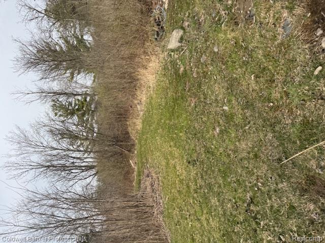 VL Rattle Run Road, St. Clair, MI 48079 — Photo 42