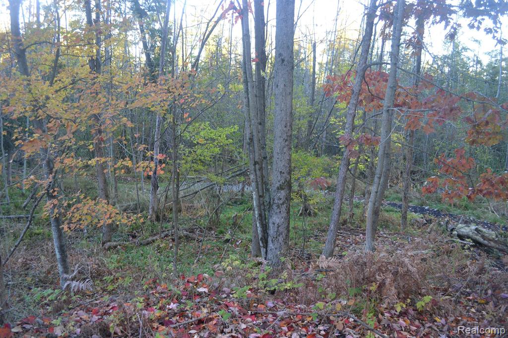 6375 JOANNE Street, Lake, MI 48632 — Photo 59