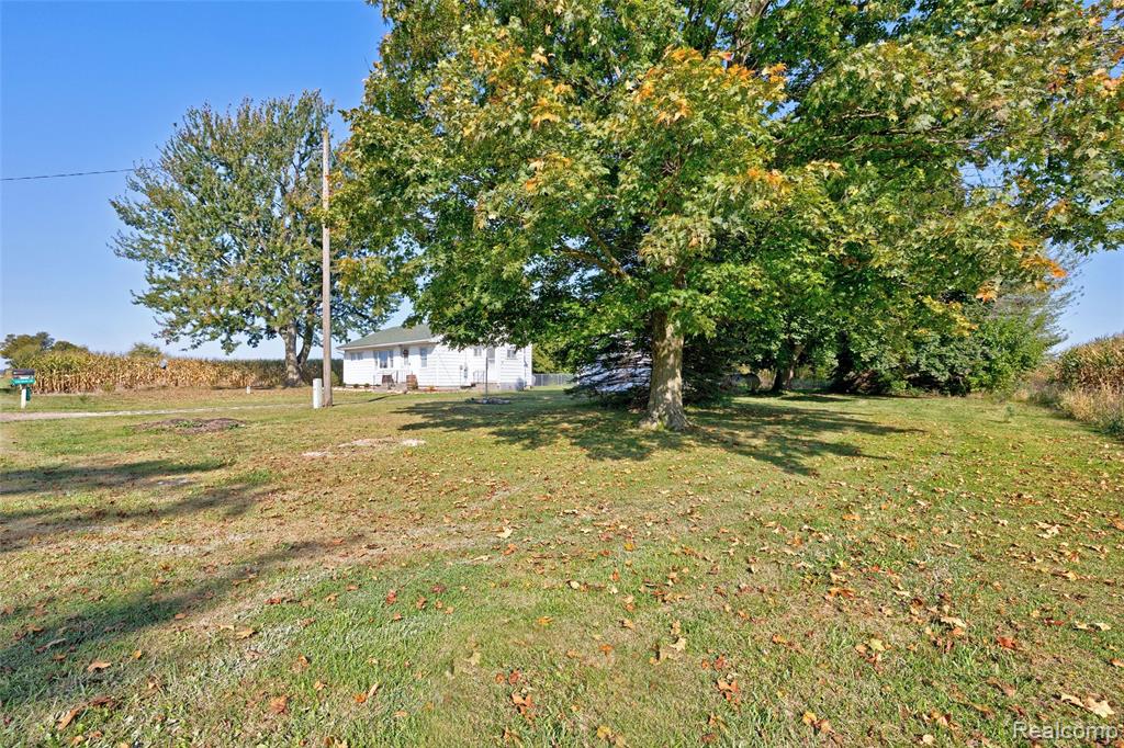 6392 Mitchell Road, Palmyra, MI 49268 — Photo 3